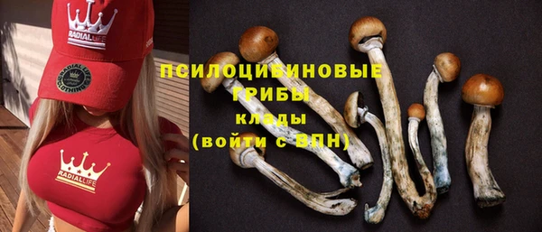 jwh Янаул