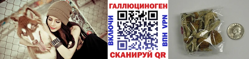 Купить  Опочка  Галлюциногенные грибы MAGIC MUSHROOMS 